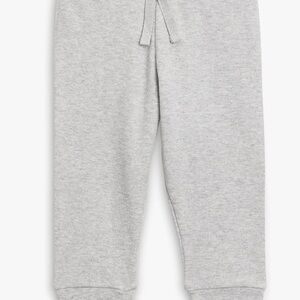Colored Organics Light Gray Joggers